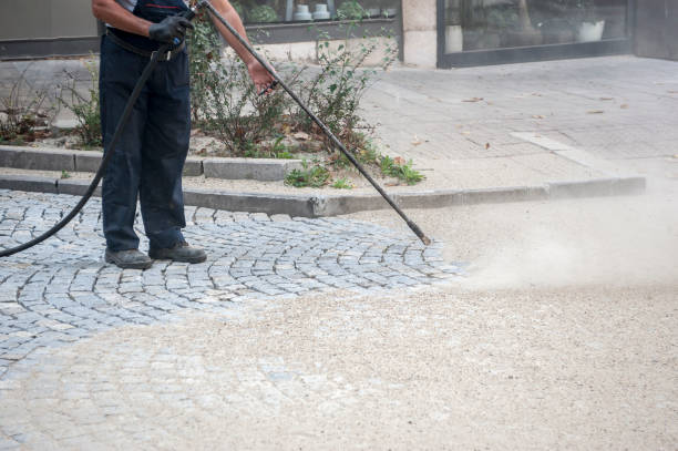 Best Winterizing Services  in Nedrow, NY